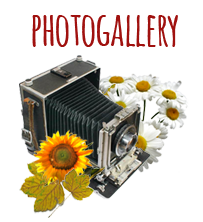 Photogallery