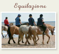 Equitazione e maneggi vicino a noi