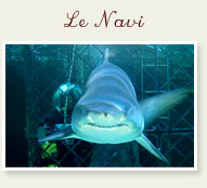 Le Navi - parco di divertimenti