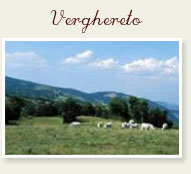 Verghereto