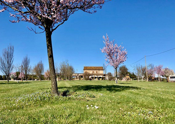 Agriturismo Il Gallo Rosso - Cesenatico